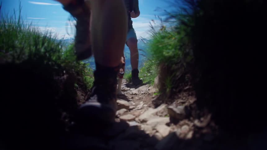 A small dog walks on a rocky mountain trail accompanied by people in shorts and hiking boots surrounded by lush green vegetation and a clear blue sky