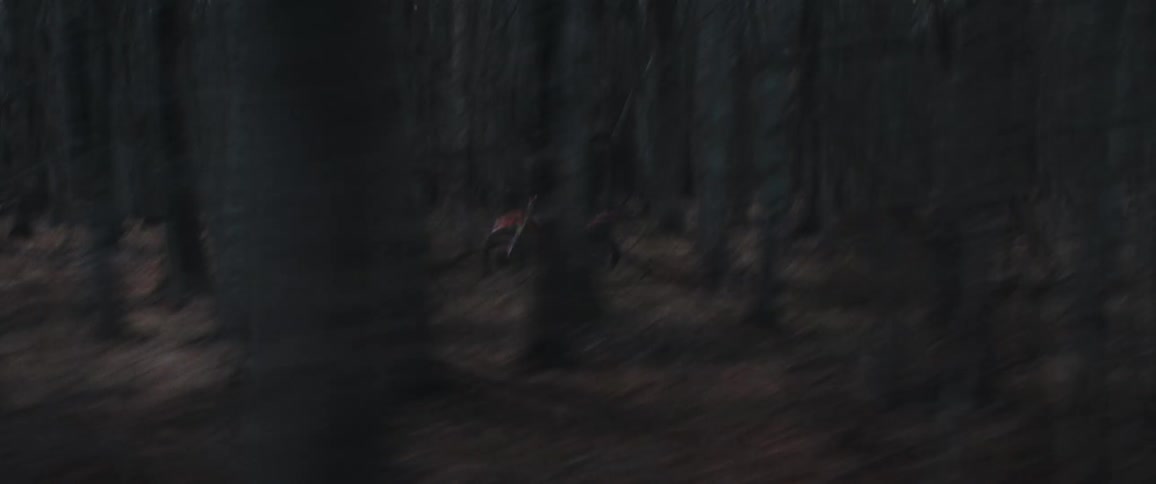 A person riding a motorcycle quickly in a forest with trees that are partially dry