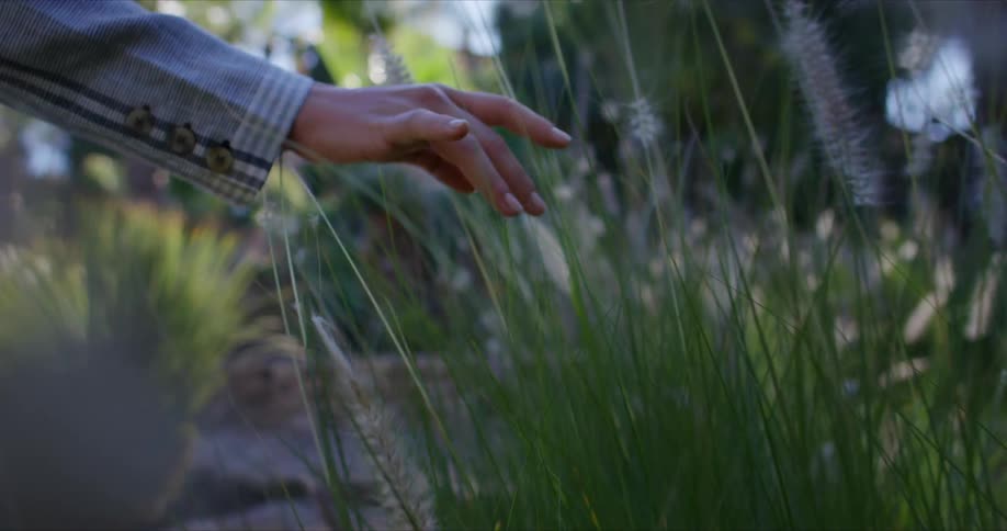 A woman is walking down a dirt path while touching tall flowers with her fingertips