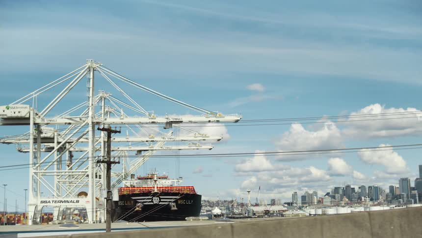 A large container ship the msc lily is docked at a port with white cranes under a blue sky with clouds with a city skyline in the background
