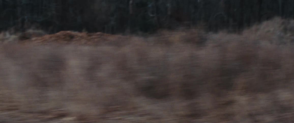 Moving view of dry grass outdoors