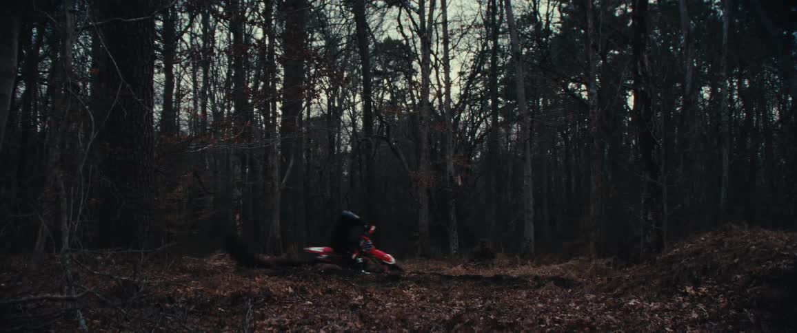 A person wearing a helmet is riding a red dirt bike through a dense forest with tall leafless trees and a ground covered in brown leaves