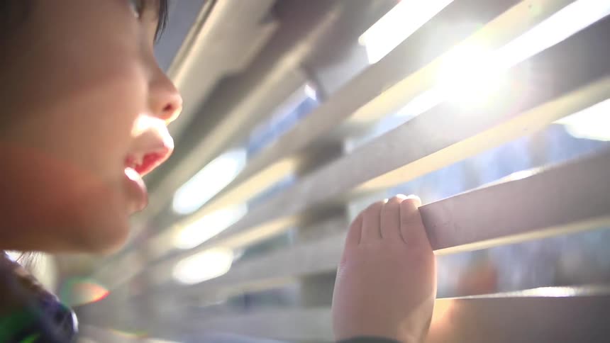 A boy looks through a metal fence