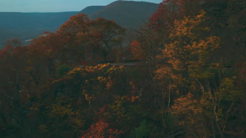 Cyclist pedals along a winding road surrounded by trees with autumn leaves