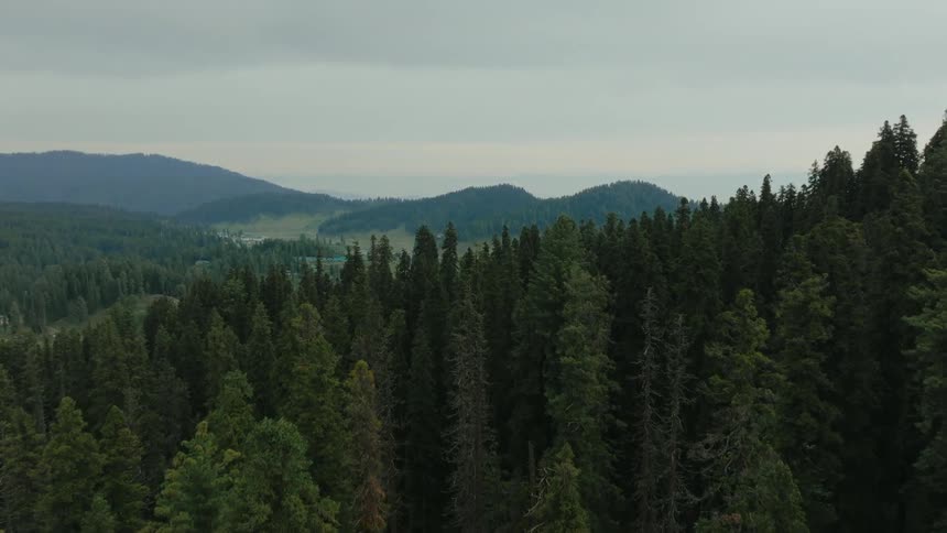 River and rural roads wind between forested mountains on a foggy day