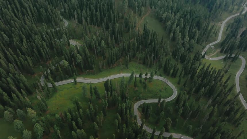 An aerial view shows a road intricately winding through a dense forest with white vehicles visible on the road interweaving through treetops