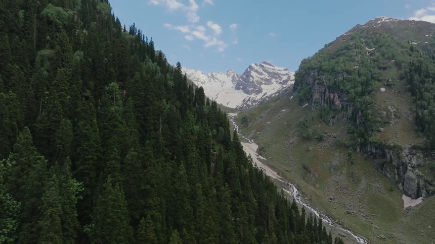 A hill with a pine forest and a small stream between hills with snowcapped mountains in the background