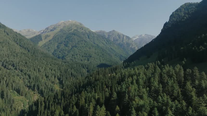 Conifer forest covers the sides of the mountains in a mountain range on a misty day