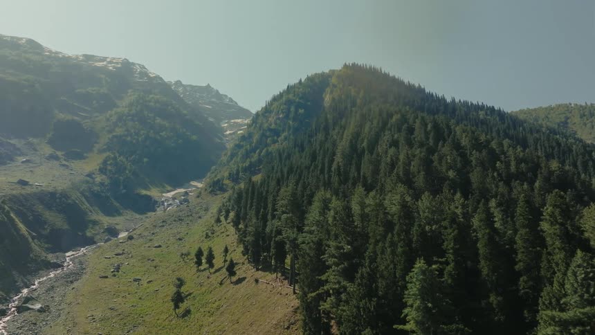 A vibrant green mountain landscape with dense coniferous forests and a snowcapped peak in the background