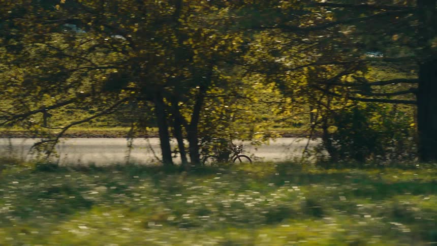 Person is riding a bicycle next to a wooded landscape