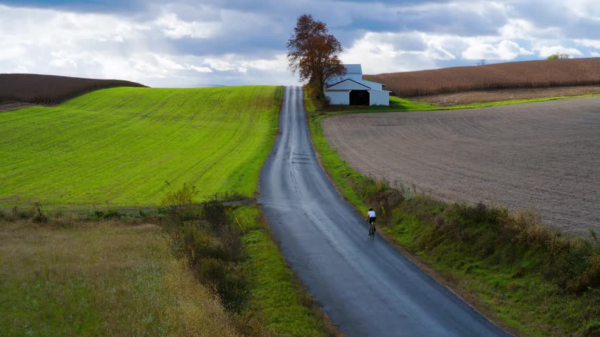 Cyclist riding on a paved road surrounded by agricultural fields