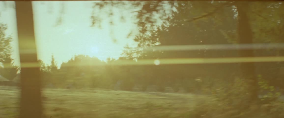The sun is rising on the trees