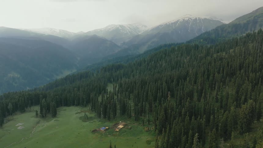 Snowcapped mountains rise above a dense evergreen forest with patches of green grass in the foreground