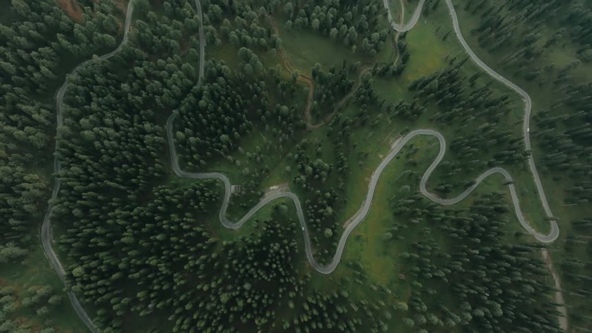 Vehicles drive on a winding road through the forest