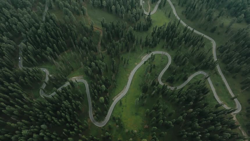 A winding road snakes through a dense forest of evergreen trees