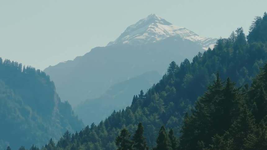 A landscape of pine forests on hills with a mountain in the background with the peak covered in snow