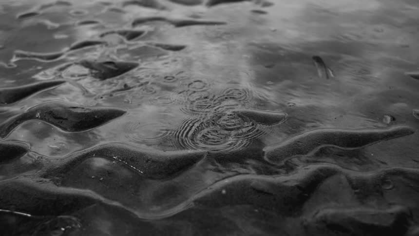 The ocean water covers the sand