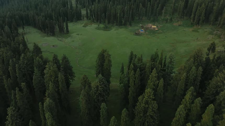 A large open grassy field is surrounded by dense tall trees with a small cluster of buildings or structures toward the upper right side
