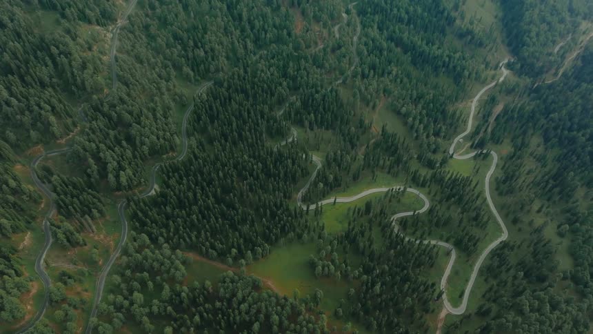 Aerial of a long windy road going through trees in the mountains