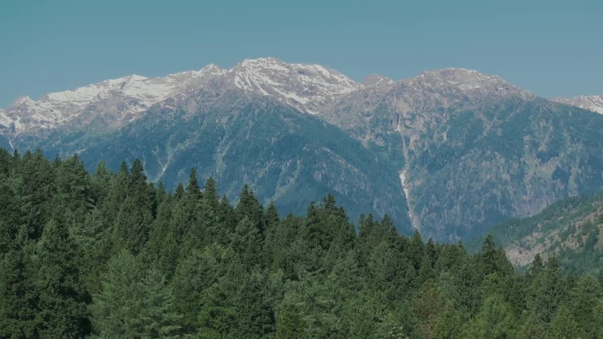 A snowcapped mountain peak rises above a dense forest of evergreen trees under a clear blue sky
