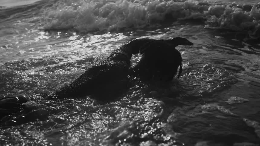 Person swimming in the sea