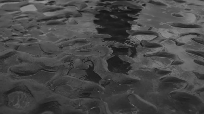 Shadow of a person walking on wet sand