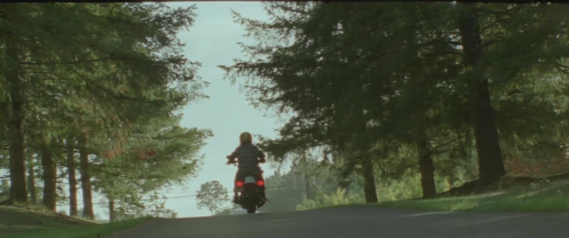 A lone figure rides a motorcycle away from the viewer on an asphalt road lined with tall trees under a bright sky