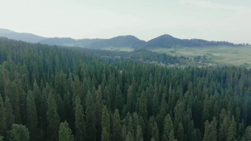 Flying above a dense forest an aerial view extends to a mountain range in the distance