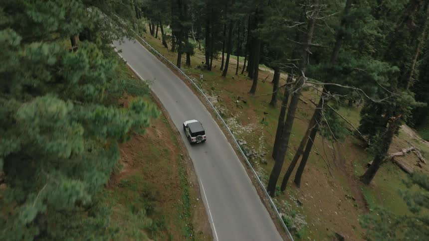 A car is driving on a winding road through a dense forest with tall trees on both sides
