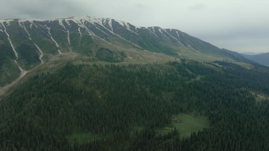 Surrounding the mountain range is a forest of trees