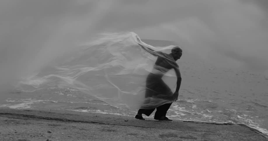 A person stands on a beach enveloped in a large piece of translucent fabric billowing in the wind with the ocean as a backdrop