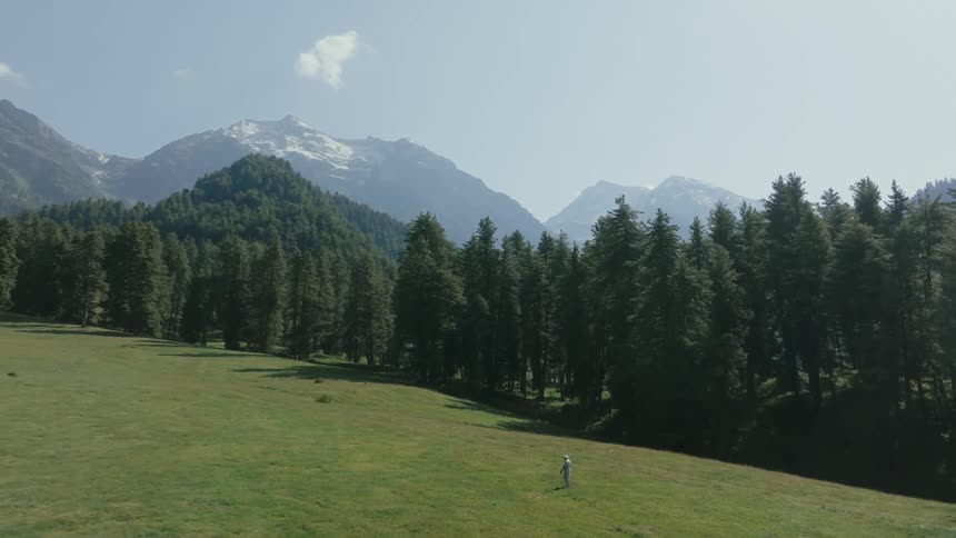 Man walking through a vast field surrounded by tall conifers and mountains