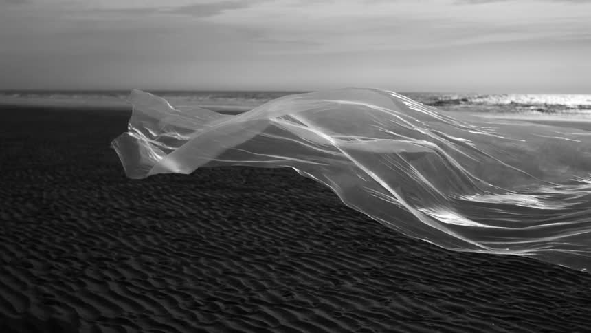 A long plastic sheet blows in the wind on the beach