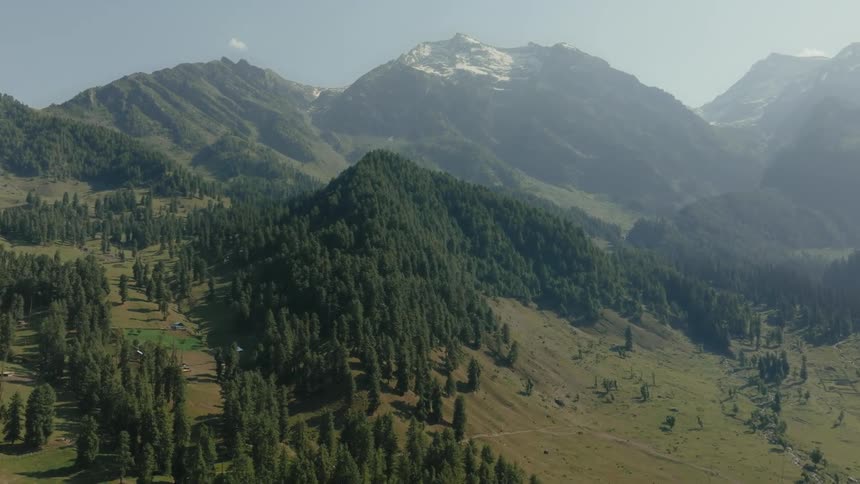 A snowcapped mountain peak rises above a dense forest of evergreen trees under a clear blue sky