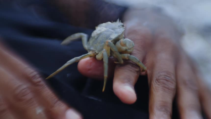 Small crab walking on a persons fingers