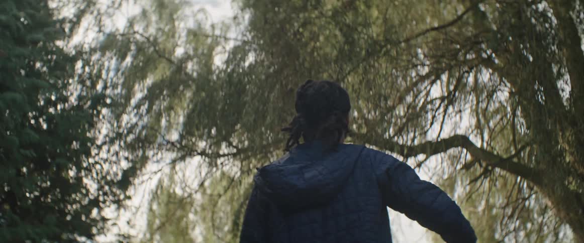 A person from behind wearing a blue jacket and walking forward in a place with several trees