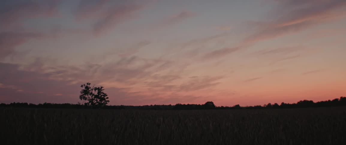 Grass field with tree silhouettes in the background seen under a red dusk sky