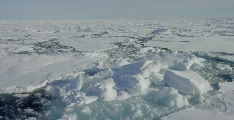 Icebergs drift in the icy waters
