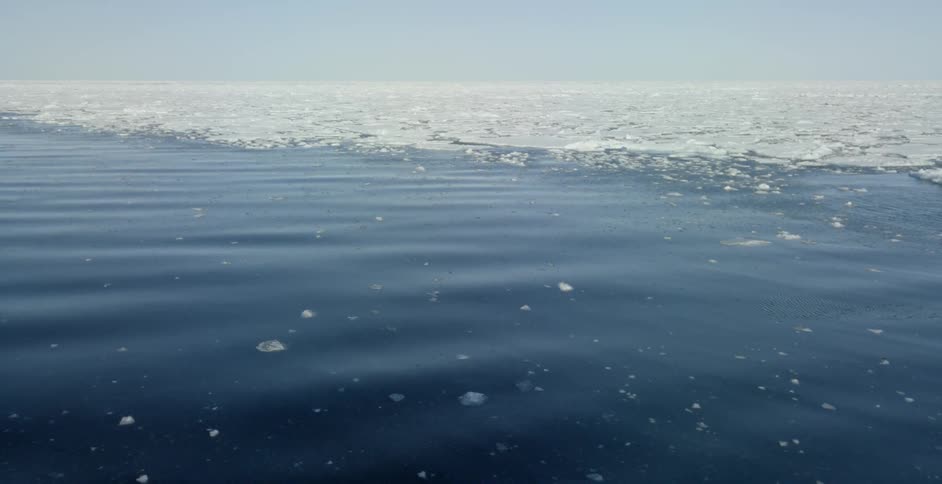 Ice floats in this body of water