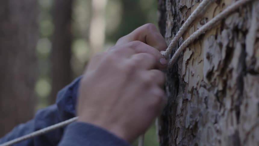 A person tying a rope around a tree