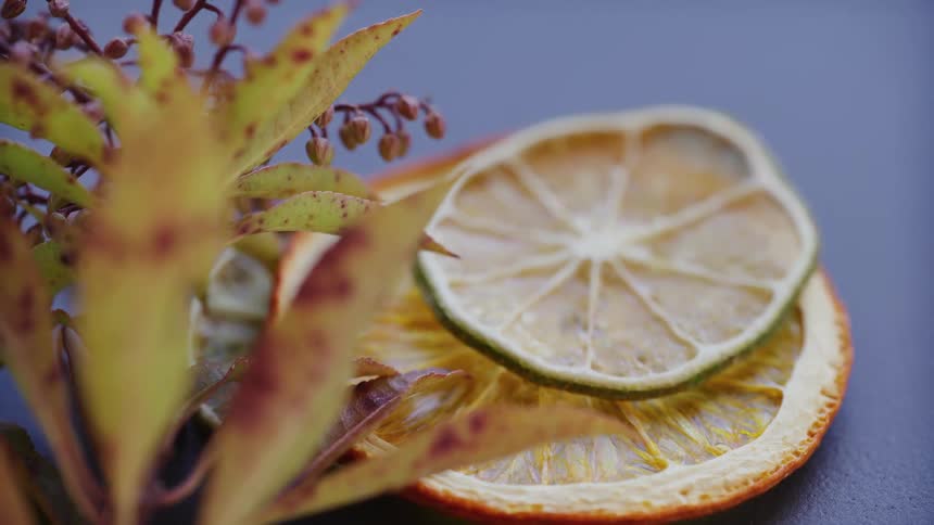 Dried slices of orange and lemon are arranged next to leaves and small flower buds