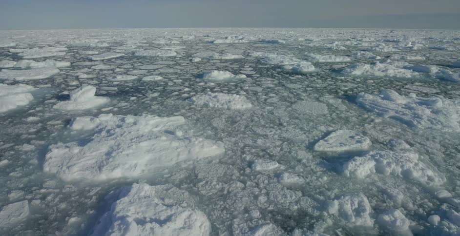 Icebergs drift in the icy waters