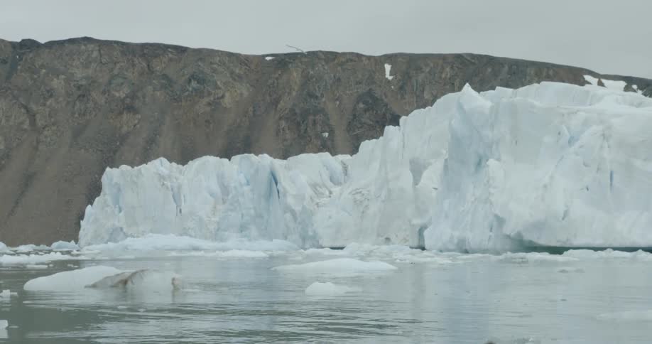 Large chunks of ice floating in water as birds fly above them