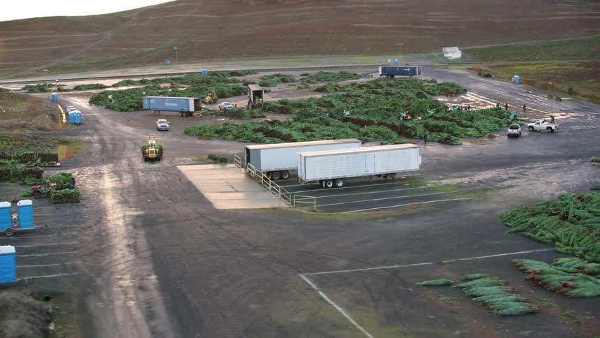 An aerial view of a large agricultural area with various structures and vehicles showcasing a wellorganized farming operation