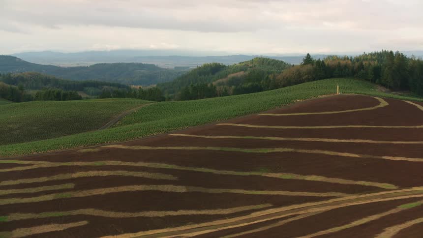 Agricultural fields form geometric patterns amid green hills under a cloudy sky