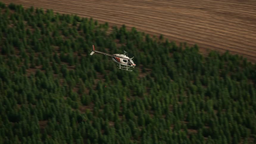 Helicopter flying over a forest