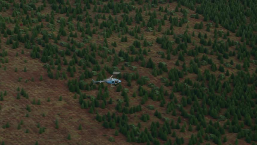 Aerial shot of a blue helicopter flying over a forest area