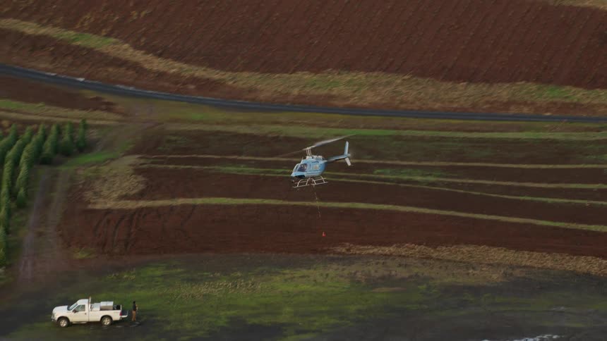 Helicopter landed in an open area next to a pickup truck near a tree plantation