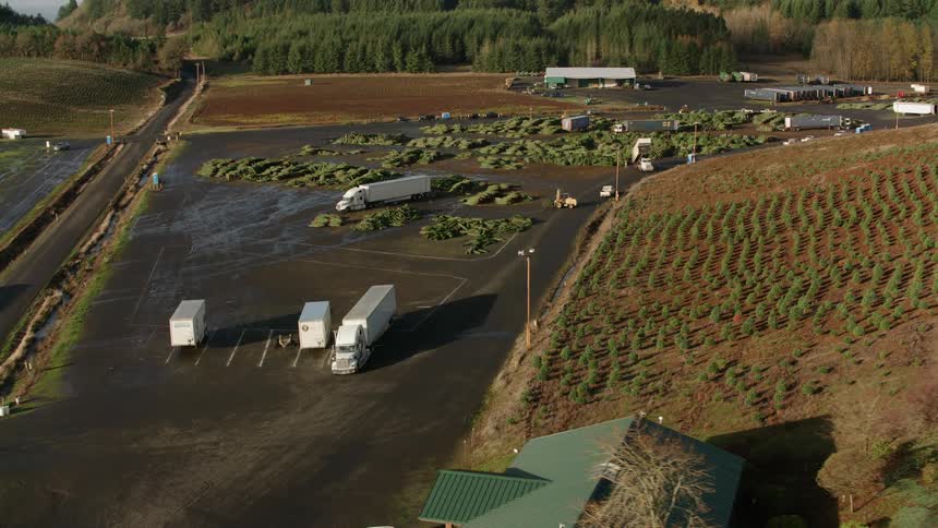 Tractor trailers are parked near the farm