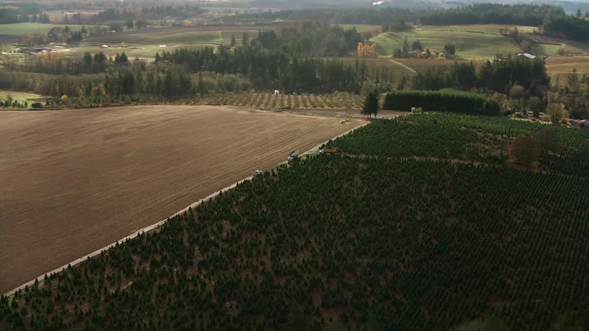 Aerial view of a rural area with plantations forests and hills in the background